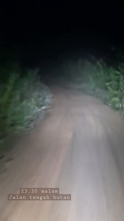 Jam 23.30 malam, Jalan tengah hutan angker