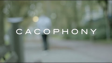 Cacophony | Creative Assignment