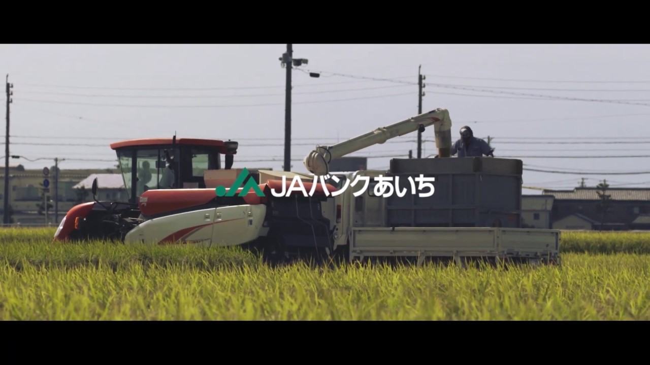 Cmギャラリー Jaバンクあいち Cmギャラリー Jaバンクあいち