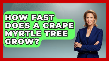 How Fast Does A Crape Myrtle Tree Grow? - The Plant Enthusiast