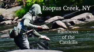 Euro Nymphing Esopus Creek, NY:  Rainbows of the Catskills