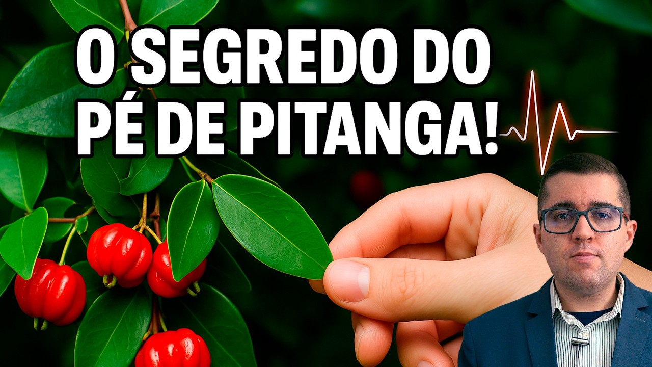A Folha de Pitanga: O Segredo Natural Para Proteger Seu Coração e Suas Veias! Funciona Mesmo!!!