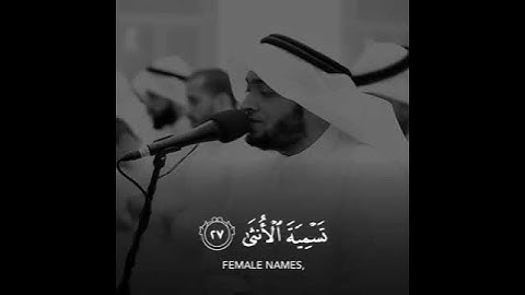 تلاوه خاشعه | بصوت القارئ احمد النفيس | حالات واتس اب دينيه♥♥.