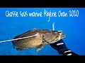 Chasse Sous Marine Algérie Oran 2020 / 2020صيد السمك في وهران الجزائر