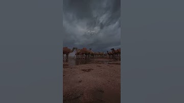 صوت جميل جدا في تلاوة القران اتمنى معرفة اسم ‏القارئ ‏