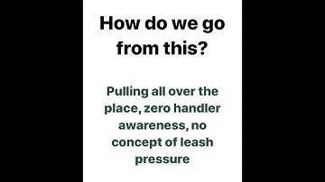 Introduction to Prong Collar