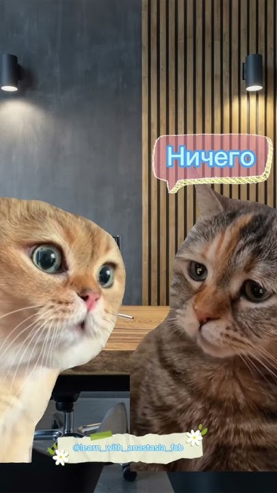 Покушать-это святое, тем более если речь идет о пельменях🍲🥟#english#eng ...