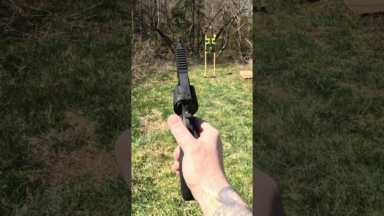 Taurus Raging Hunter 357 Magnum Steel Targets 