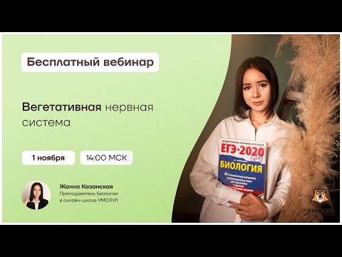 Вегетативная нервная система | Биология ЕГЭ | Умскул