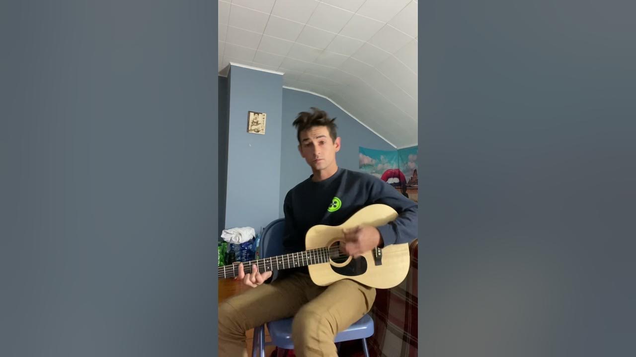 wild-pack-of-family-dogs-modest-mouse-cover-youtube