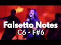 Ariana Grande - INCREDIBLE 6th Octave Falsetto Range! (C6-F#6!)