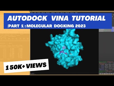 Molecular Docking Tutorial: