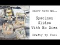 Craftwithmespecimen slides with no diesjunkjournalideas timholtz