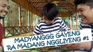 MADYANGGG GAYENG RA MADANG NGGLIYENG #1