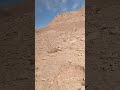 اغرب انواع النباتات الذي يمكن أن تراها فوق جبل في سيناء اغرب انواع النباتات الذي يمكن أن تراها فوق جبل في سيناء