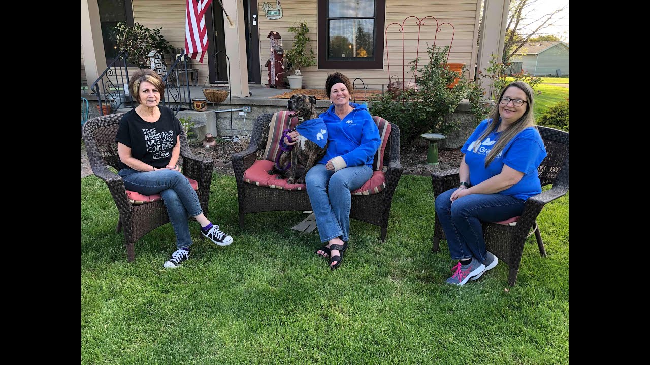 Three friends love to volunteer