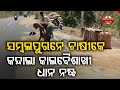 କାଳବୈଶାଖି ନଷ୍ଟ କଲା ଧାନ ଫସଲ ||Kalbaisakhi Storm Wreaks Havoc on Paddy Fields ||Sambalpur News