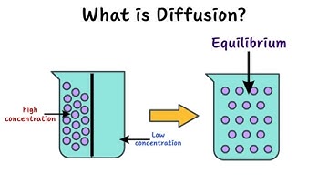 What is Diffusion? How Does it Work? What Factors Affect it?