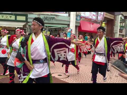 風舞輝〜fubuki〜2016高知よさこい祭り全国大会