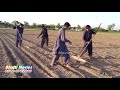 Kamal Mohabbat Bhatti 2020 ==