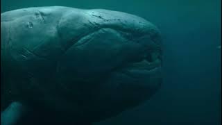 Dunkleosteus Attack Life on our Planet