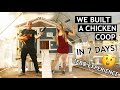 DIY Chicken Coop Build in 7 Days with No Experience