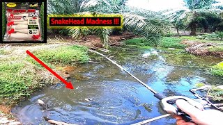Opass Swim Shad 8cm VS SnakeHead || Haruan || Gabus || Bujuk