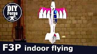 F3P Indoor flying championships | 3D flying