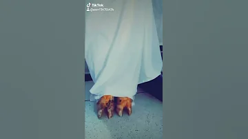 عايشة قنديشة 