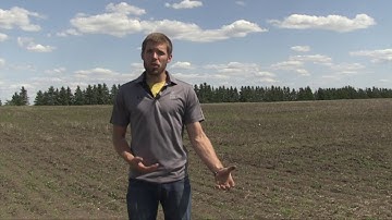 Canola School: Plant Stand