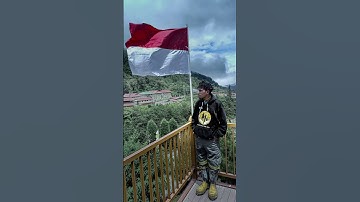 lagu acara 2023 reggae
