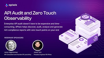 API Audit and Zero Touch Observability with APIwiz