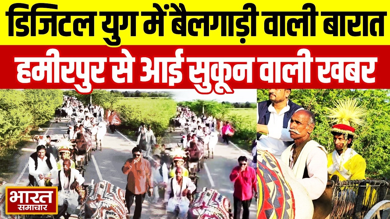 UP Viral News : डिजिटल युग में बैलगाड़ी वाली बारात,Hamirpur से आई सुकून वाली खबर