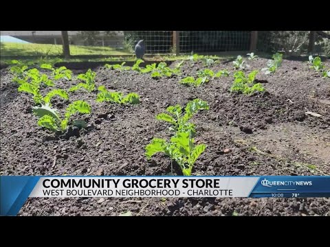 New grocery store to end 30-year food desert in this west Charlotte neighborhood