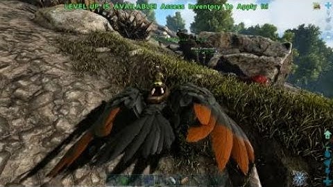 Procoptodon Super jump