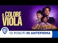 10 Minuti in Anteprima | Il Colore Viola