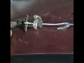 que Aser cuando se te corta el cable del embrague del Fiat Palion modelo 99 gasolero 1.7