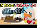 どうして!?カブトムシが動かない…アンパンマンと命を学ぼう!🐤