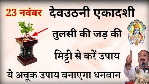 23 नवंबर देवउठनी एकादशी पर तुलसी की जड़ की मिट्टी का ये उपाय दूर करेगा गरीबी होंगी परेशानियाँ दूर..