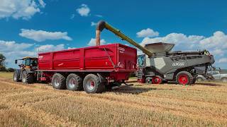 Getreideernte, Grain Harvest In Thüringen Thuringia, 4K Uhd