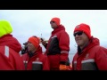 Whale watching in British Columbia