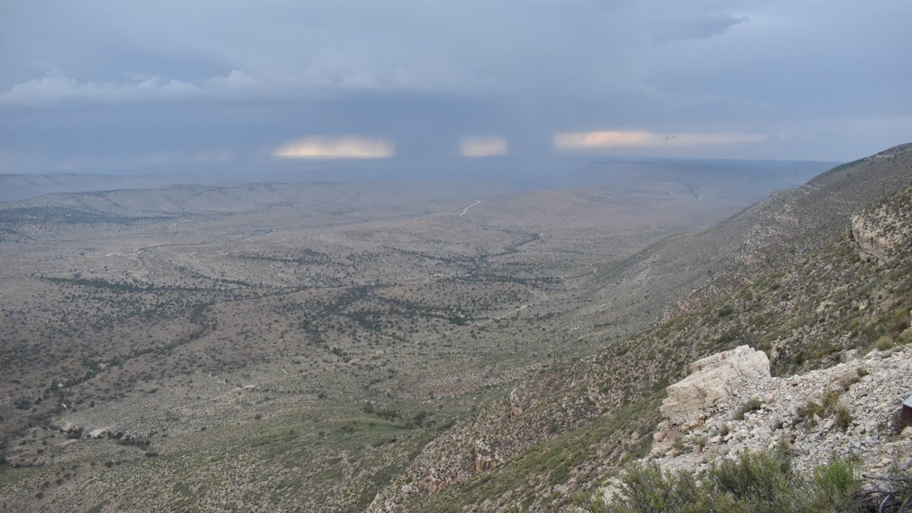 (#167) Refugial Canyons and Doug Firs in the Desert. Cameo by roses that grow on rock walls.