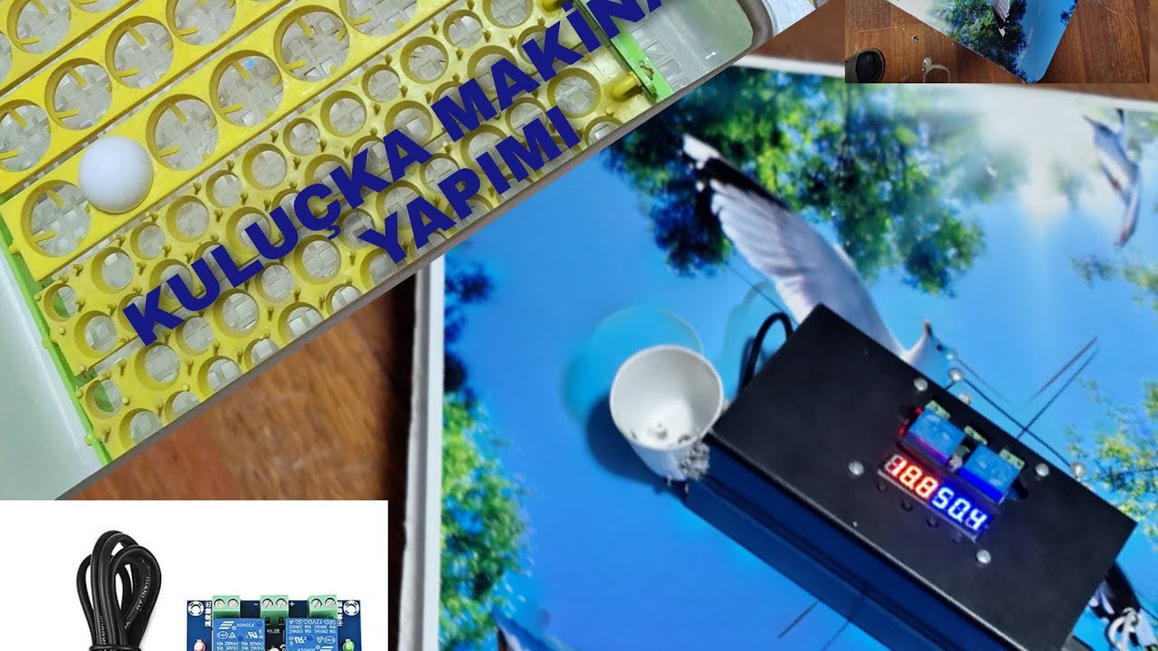 KULUÇKA MAKİNESİ YAPIMI Ful Otomatik