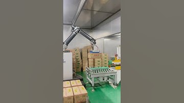 Steamed dumpling packaging collaborative palletizer #machine #factory #automation #automobile #robot