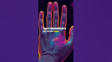 Fingerprints: Nature