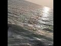 دریا فرح ص