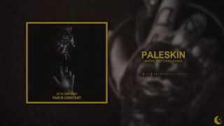 Video thumbnail of "PALESKIN - Where The Light Fades"