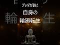 ブッダが説く〜自身の輪廻転生を知る術〜