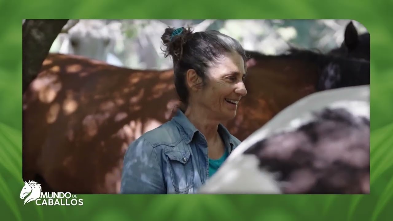 CON CABALLOS