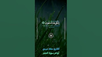 ولقد نعلم أنك يضيق صدرك بما يقولون 😩💔 || حالات واتس قرآن أواخر سورة الحجر 😍✨|| القارئ معاذ مرسى